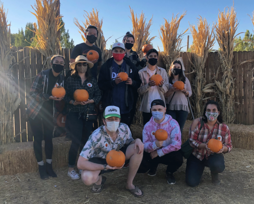 PumpkinPatch PumpkinPatch